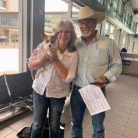 c_h_pembroke_corgis_1659833030_2899212049134681572_47406370877